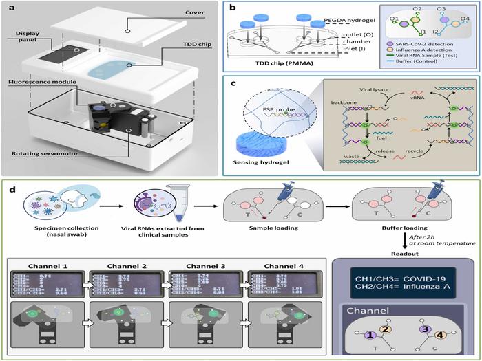 INU Scientists Develop New “TwinDemic” Diagnostic System for Rapid Viral Testing