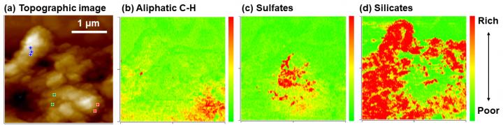 AFM Image of Ancient Meteorite