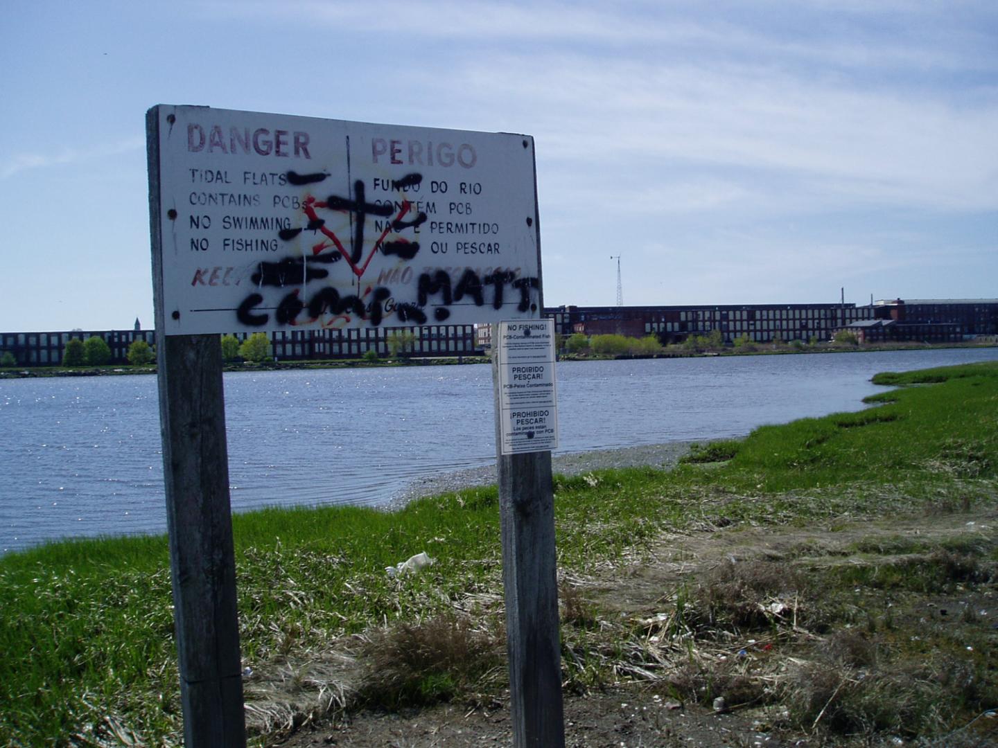 Atlantic Killifish's Natural Habitats
