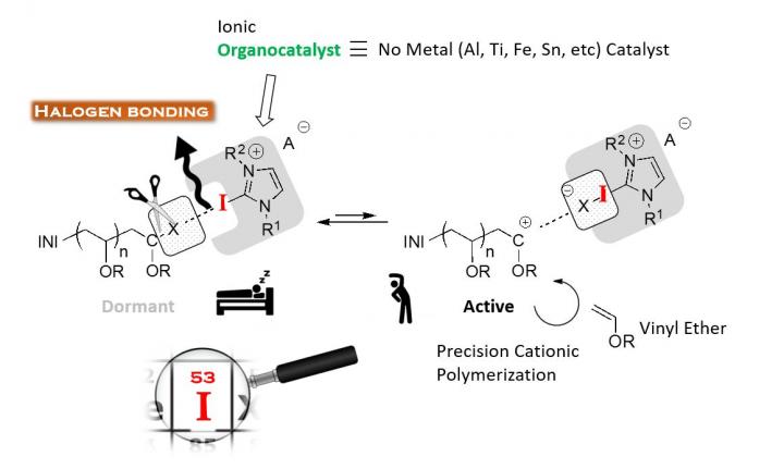 Halogen Bonding Catalyzes Precision Cationic Polymerization of Vinyl Ether