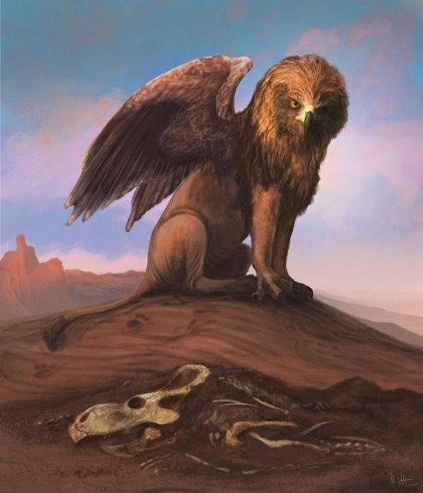 Griffin.jogPainting of a griffin, a lion-raptor chimaera, alongside the fossils of Protoceratops, a horned dinosaur. The latter are said to have informed the lore and appearance of the former, but our study suggests that there is no compelling connection between dinosaurs and griffins. CREDIT Dr Mark Witton