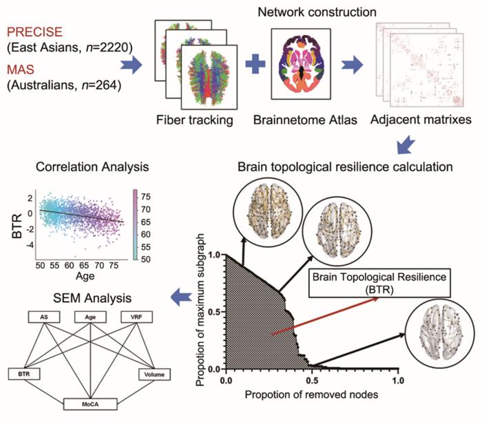 Study Outline Of This Study [IMAGE] | EurekAlert! Science News Releases