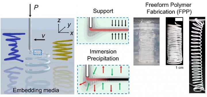 Concept of freeform polymer precipitation (FPP)