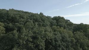 Martell Woods aerial video