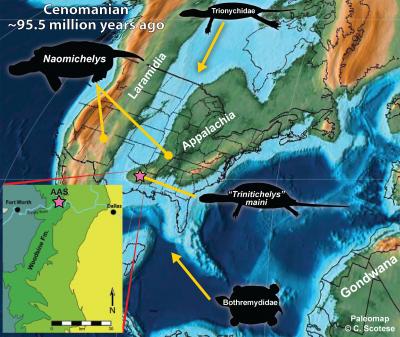 Cenomanian North America