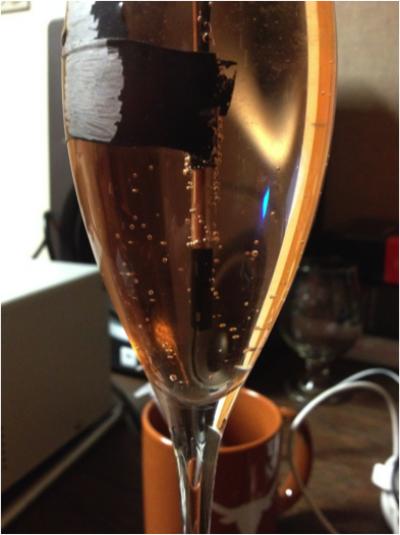 Hydrophone in Champagne Glass