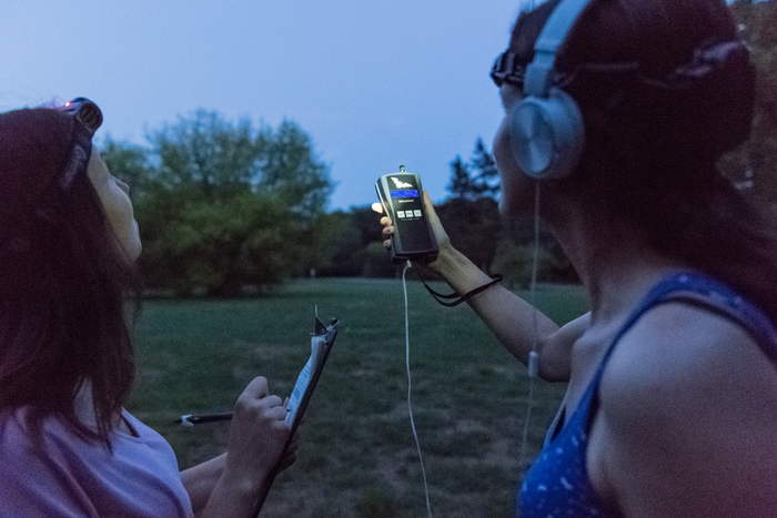 Citizen scientist with a bat detector in Berlin