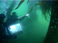 Underwater Video Camera (SCUVA)