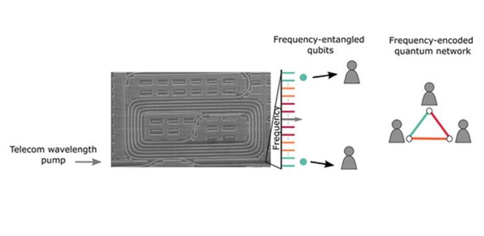 A silicon microresonator (left [IMAGE] | EurekAlert! Science News Releases