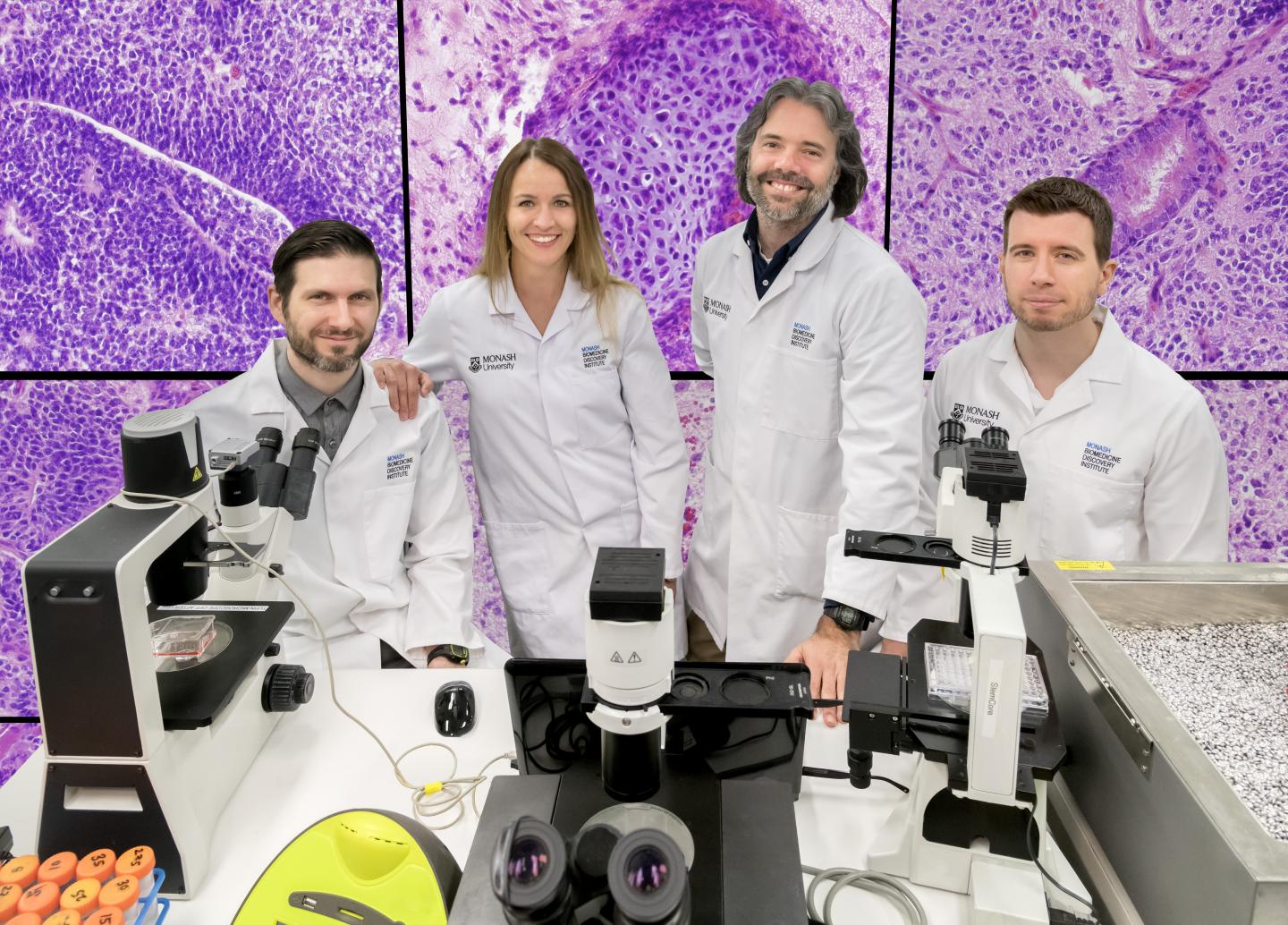 Members of the Monash BDI Led Research Teams