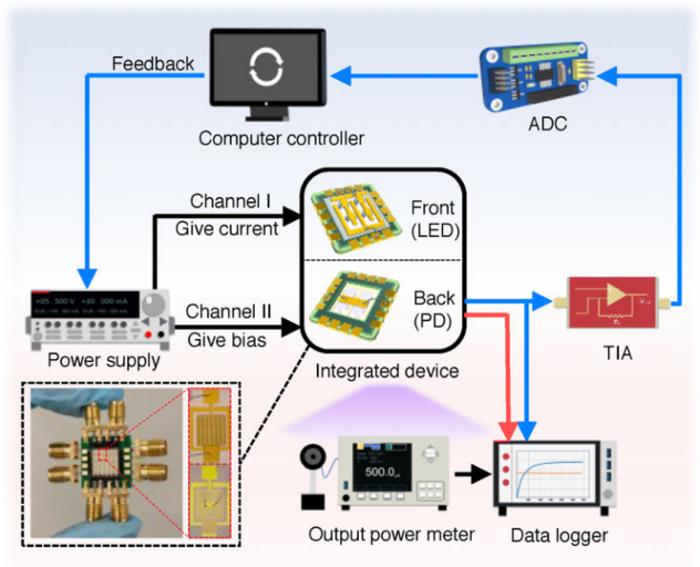 Vertically Integrated Self-Monitoring AlGaN-Based Deep Ultraviolet Micro-LED Array with Photodetector Via a Transparent Sapphire Substrate Toward Stable and Compact Maskless Photolithography Application