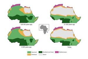 New research reveals why and when the Sahara Desert was green