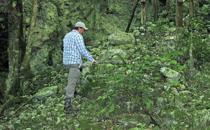 Ancient staircase in sinkhole