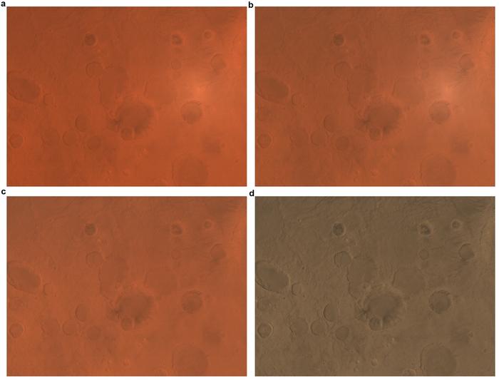 Comparison of the MoRIC images before/after several correction processing