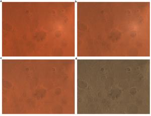 Comparison of the MoRIC images before/after several correction processing