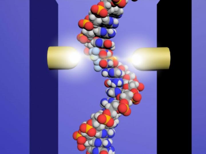 Single-Molecule Quantum Sequencer