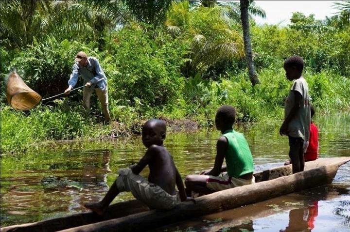 Field Work in Congo