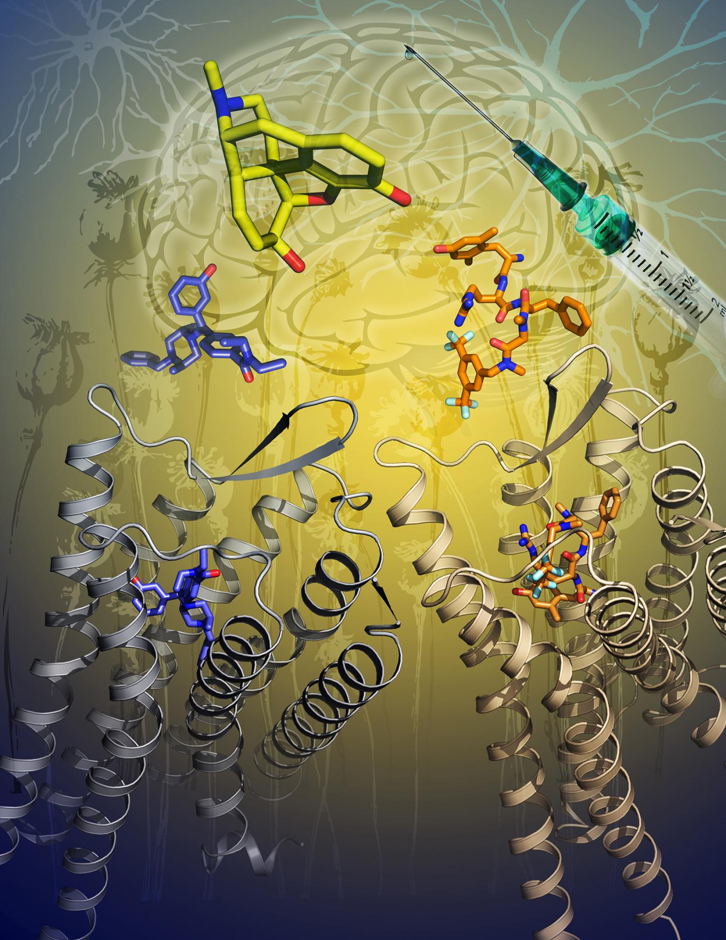 The Illustration Shows the Two New Crystal Structures