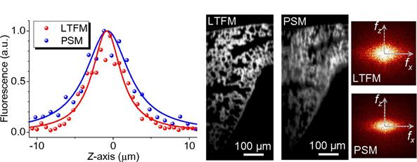 Comparison of Two Bioimaging Techniques