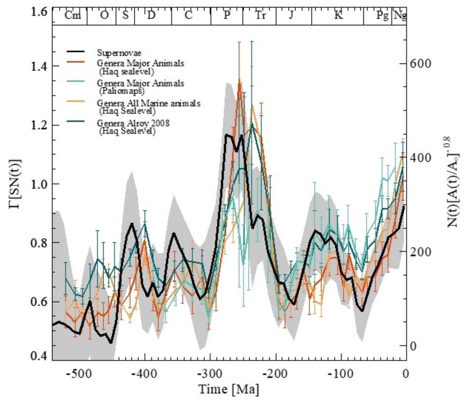 Variations in relative supernova history (black curve) compared with genera-level diversity curves normalized with the area of shallow marine margins (shallow areas along the coasts).