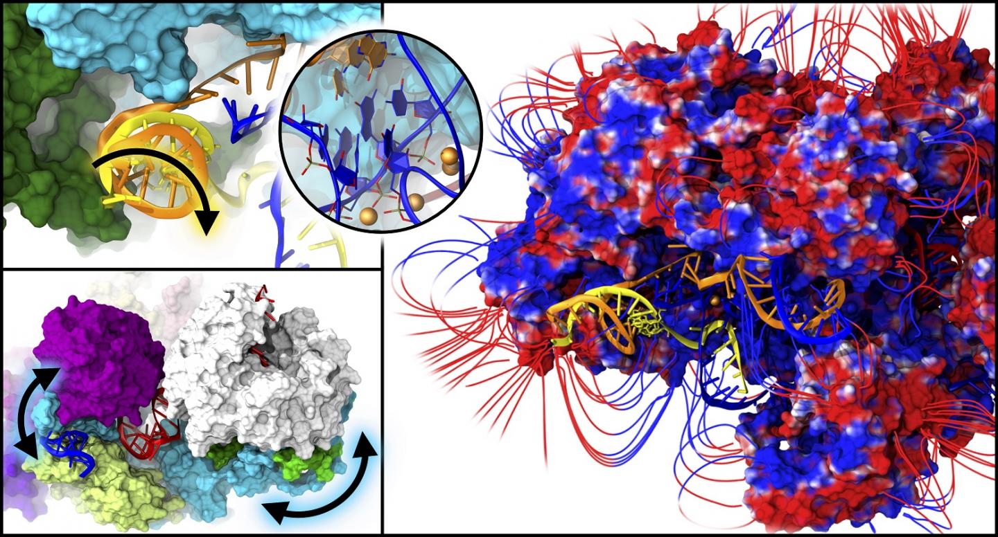 The Spliceosome in the Spotlight
