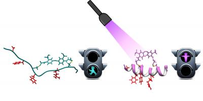 Light-Activation Scheme