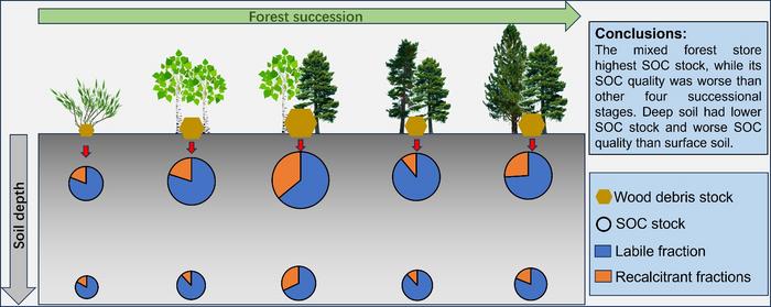 PROPOSED CONCEPTUAL DIAGRAM OF THE CHANGES IN STOCK AND QUALITY OF SOC ACROSS FOREST SUCCESSIONAL SERIES