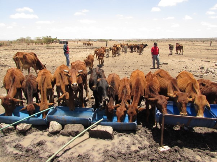 Timely study on rising groundwater offers hope for drought-stricken East Africa