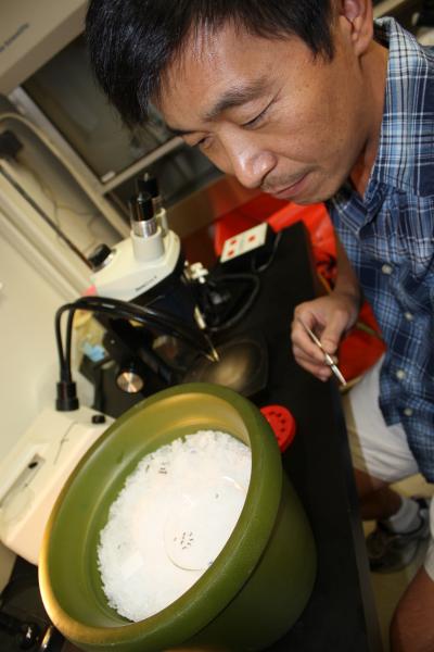 Jun Isoe, University of Arizona 