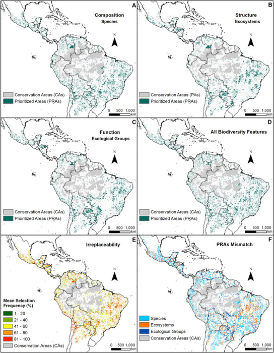 Spatial distribution of sites