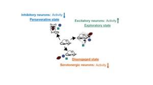 Distinct cell types in MRN