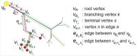 An Axon and its Branches