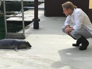 Andrea Ravignani studies the vocal learning of seal pups