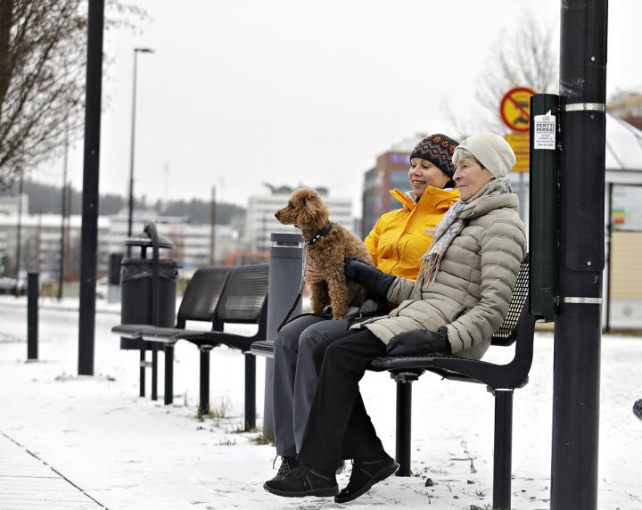 Women Sitting on a Bench