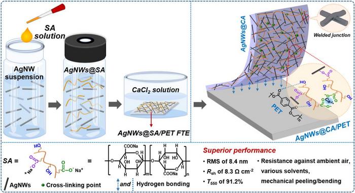 Schematic diagram of the preparation process and mechanism of AgNWs@CA/PET FTE