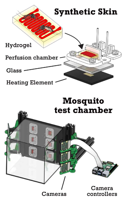 illustration of test chamber for mosquito feeding behavior that uses 3D-printed 'synthetic skin'