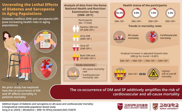 Unraveling the Combined Health Impact of Diabetes and Sarcopenia in Aging Populations