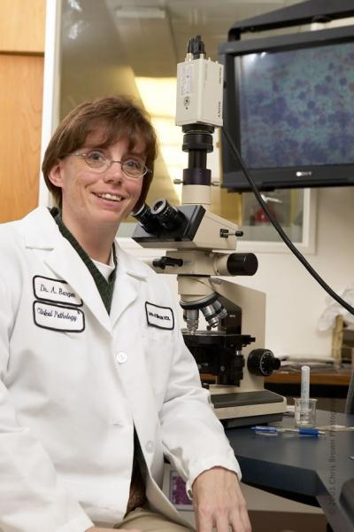 Insights into Osteosarcoma in Cats and dogs may Improve Palliative Care