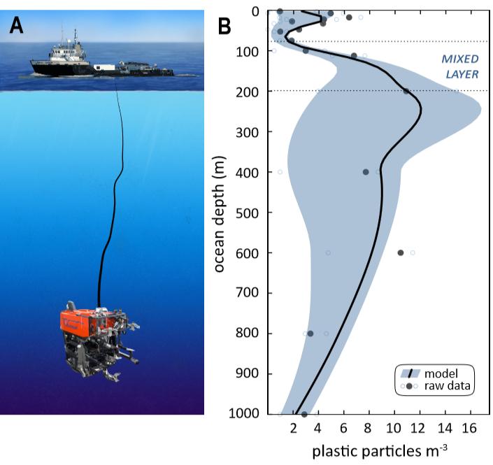 Microplastic is Pervasive from the Surface to the Seafloor