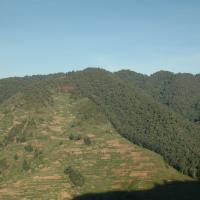 Bwindi Border