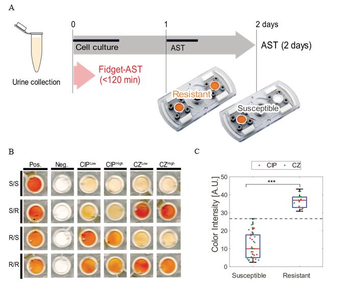 Antimicrobial Susceptibility Test