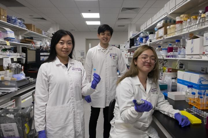 NTU Singapore study investigates link between 'long-haul COVID' and risk of blood clot formation