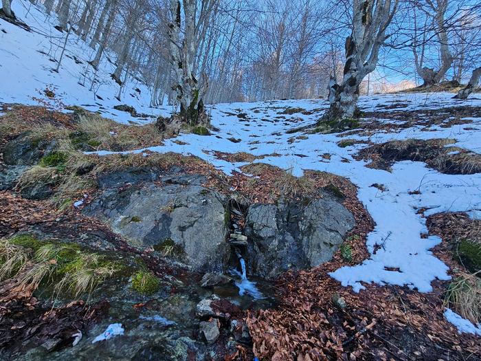 Spring area of the Llap river