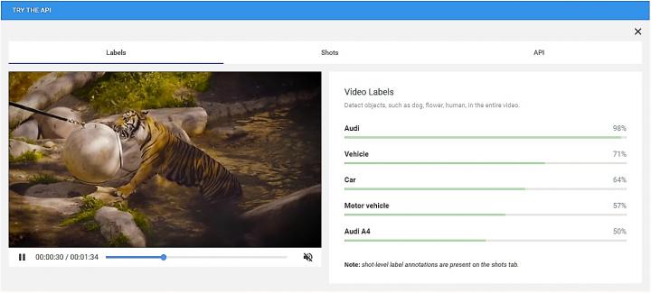 Screenshot Shows the API's Output for the Wildlife Video that was Subtly ManipulatedbBy UW 