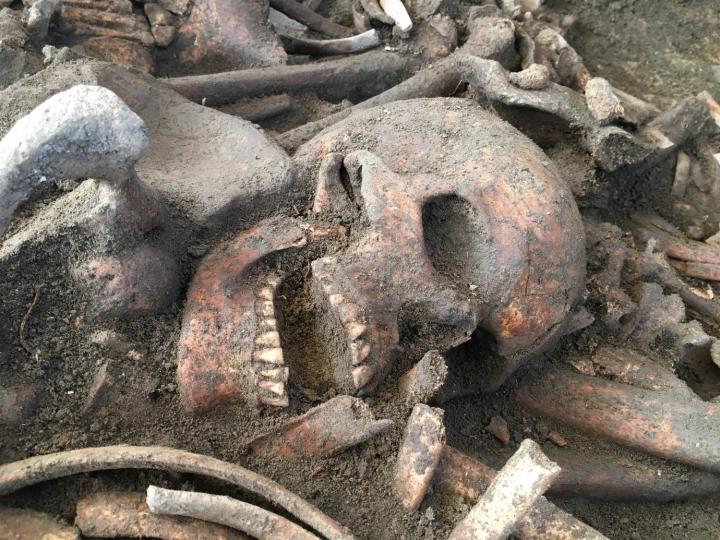 Human remains from a Bronze Age site in Tiszaf&uuml;red-Majoroshalom