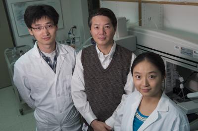 Fengyun Ni, Jianpeng Ma and Xiaorui Chen, Rice University