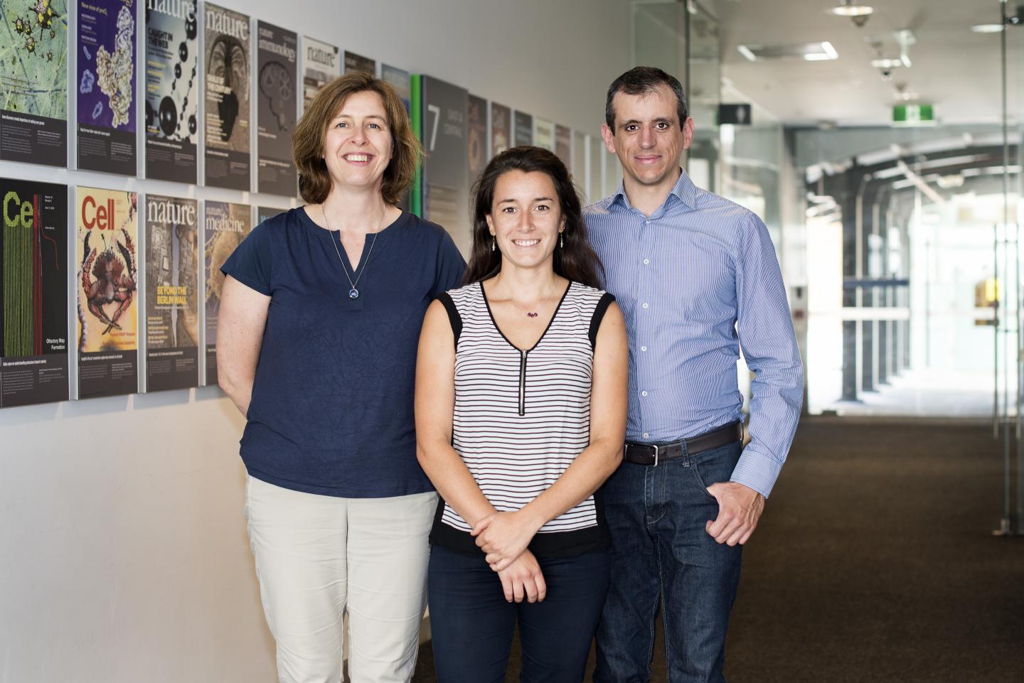 Melanie Bahlo, Anna Quaglieri and Thomas Scerri, Walter and Eliza Hall Institute of Medicine