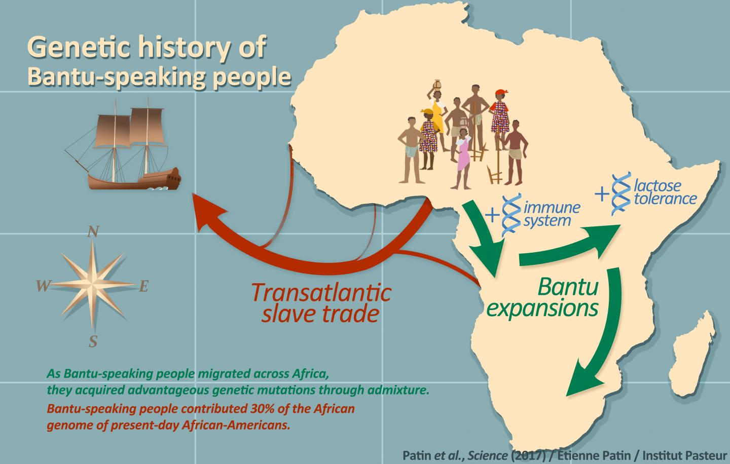 The Genetic History of Bantu Speakers and their Relationship to African-Americans  (1 of 5)