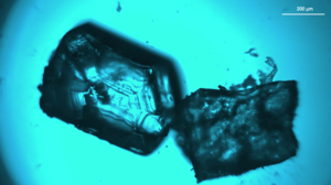 Lanthanide soft crystals used in the study