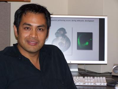 Gary Gaufo, University of Texas at San Antonio